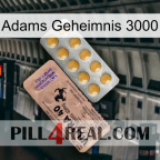 Adams Secret 3000 41